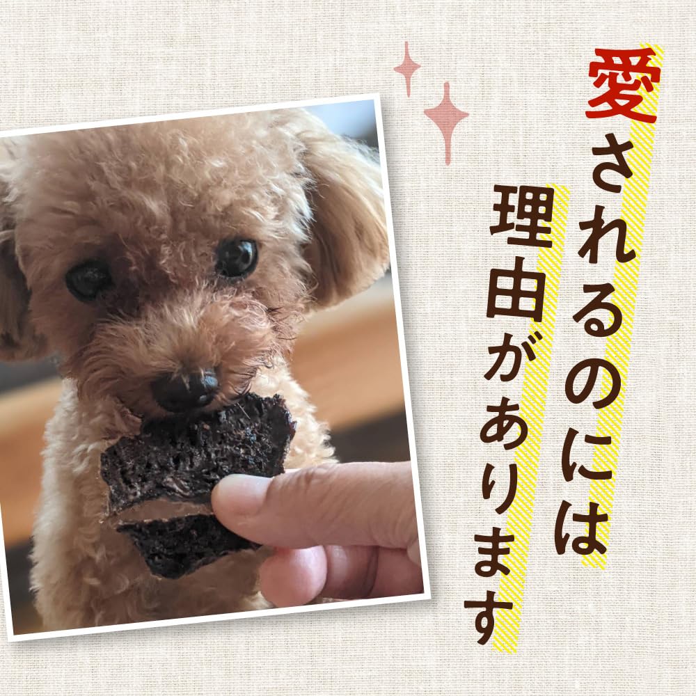 犬用おやつ 無添加 手作り馬肉ジャーキー110g 国産 安全 ドッグフード thumbnail 2